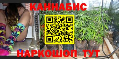 твердый Будённовск